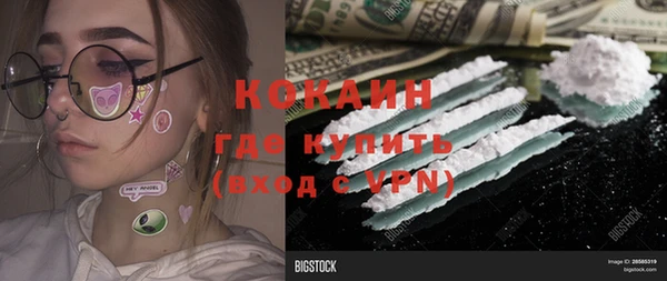 ешки Арсеньев